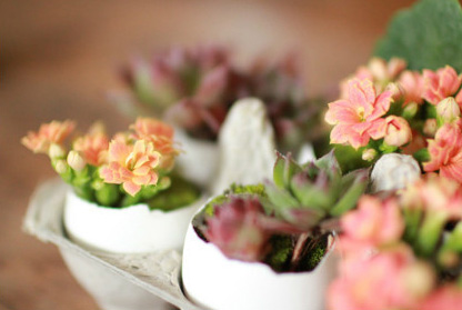 Créer de mini pots de fleurs avec des coquilles d'oeufs