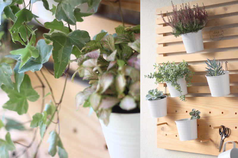 Créer un mur végétal DIY avec des pots de fleurs